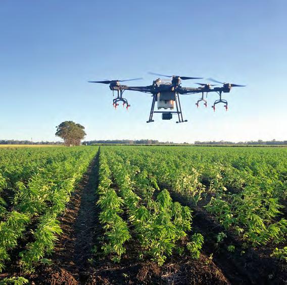 Why Hemp is a Game-Changer for Regenerative Agriculture in Broadacre Farming