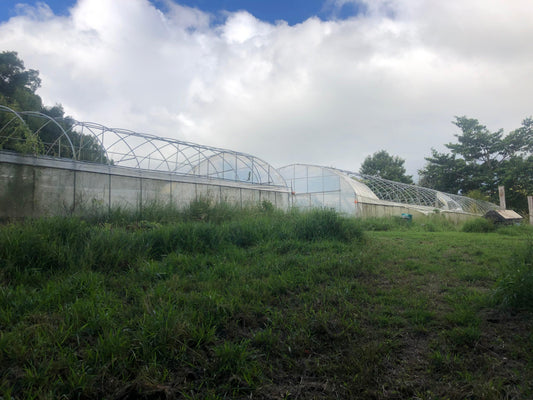 2x 30 metre greenhouse grow tunnels plus gear